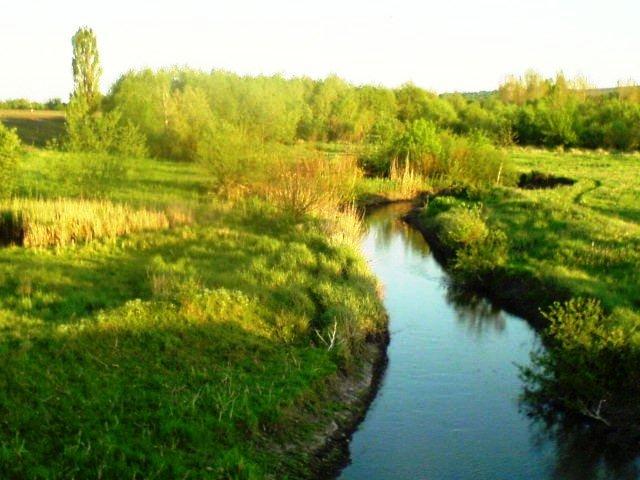 Кам'яне з panoramio.com - Кам'яне