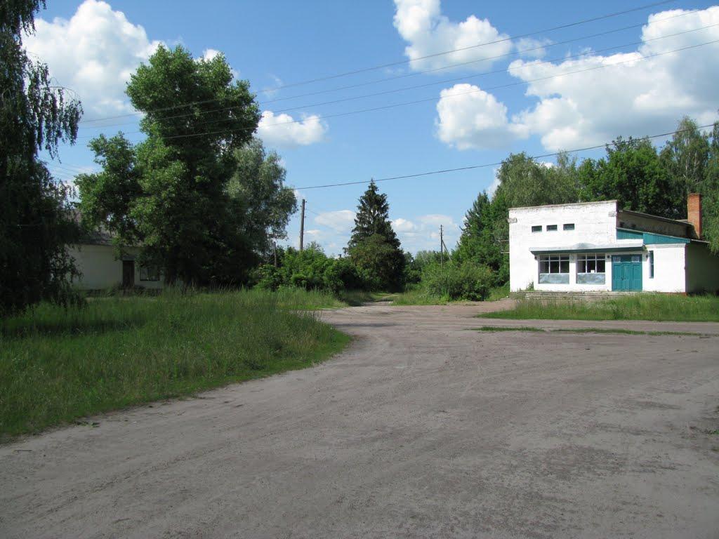 Максимівка з panoramio.com - Максимівка