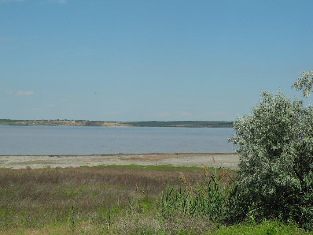 Августівка з panoramio.com - Августівка
