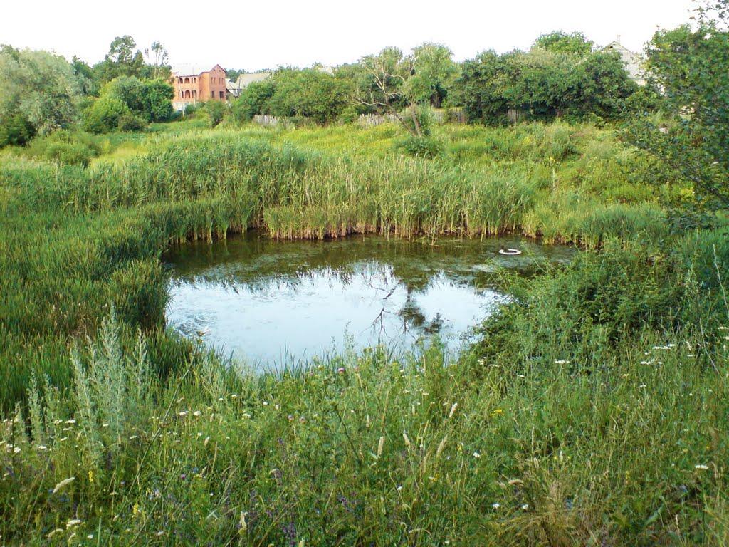 Хрустальний з panoramio.com - Хрустальний