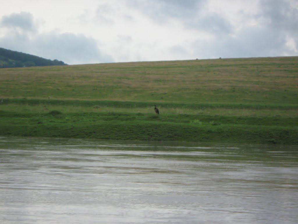 Стінка з panoramio.com - Стінка