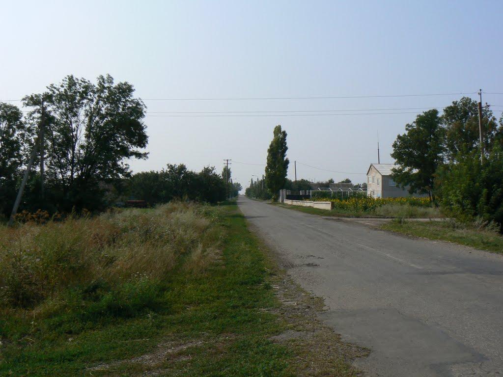 Сміле з panoramio.com - Смелое