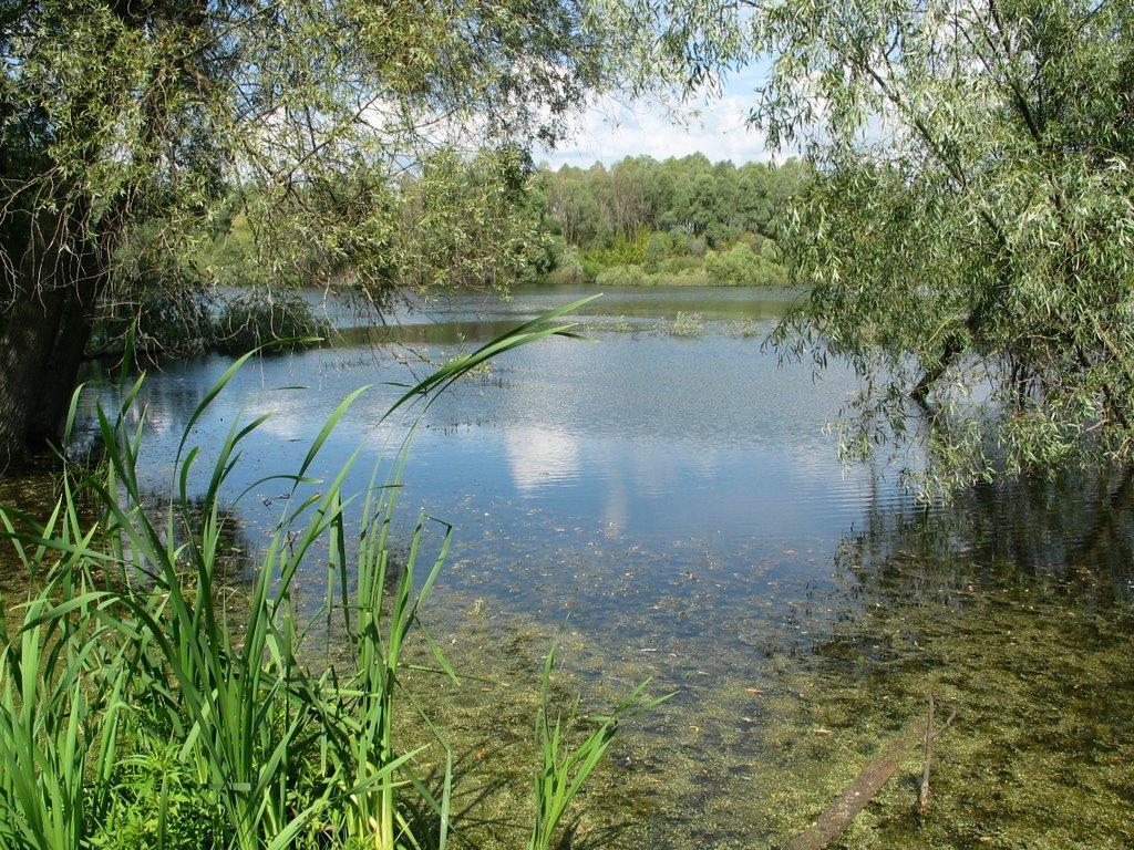 Велика Павлівка з panoramio.com - Велика Павлівка