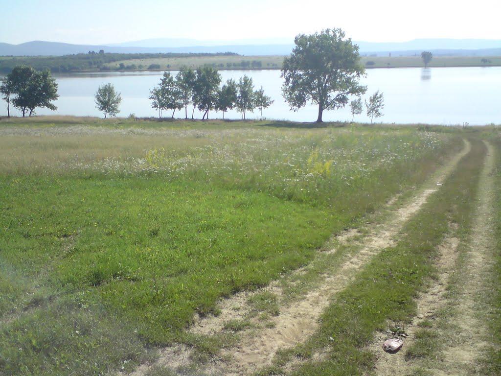 Пістрялово з panoramio.com - Пестрялово