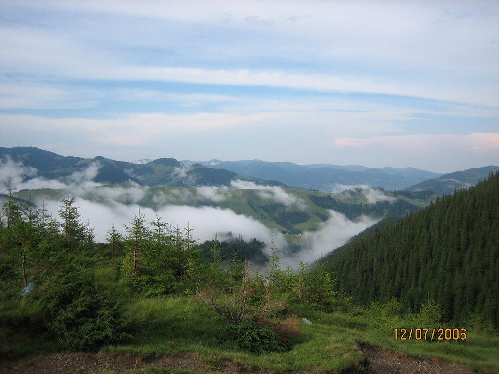 Берестечко з panoramio.com (ч.2) - Berestechko