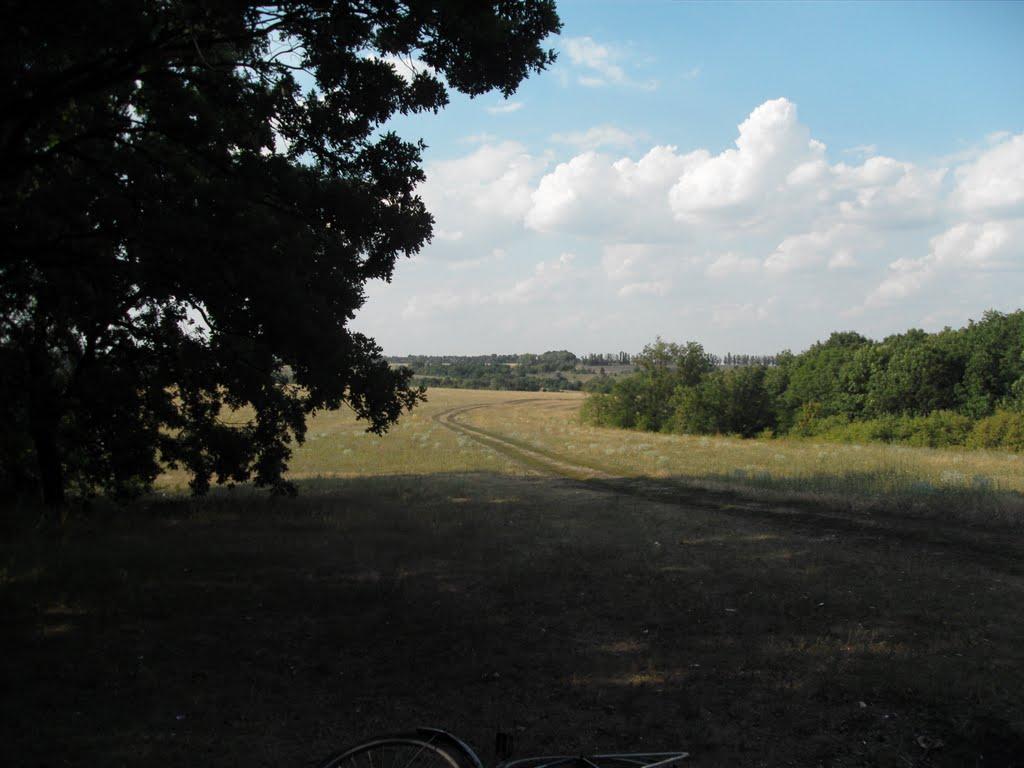 Верхня Орілька з panoramio.com - Верхня Орілька