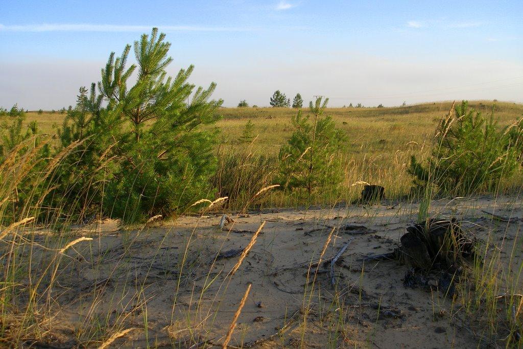 Кремінна з panoramio.com - Кремінна