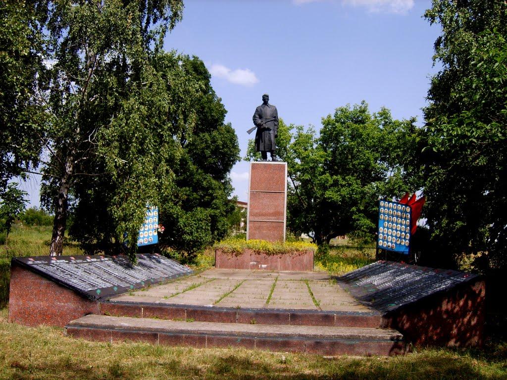 Новоандріївка з panoramio.com - Новоандріївка