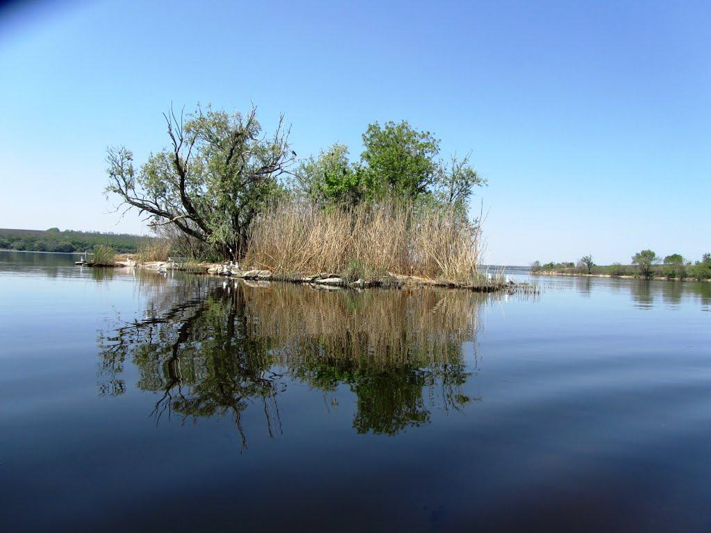 Орлівське з panoramio.com - Орлівське