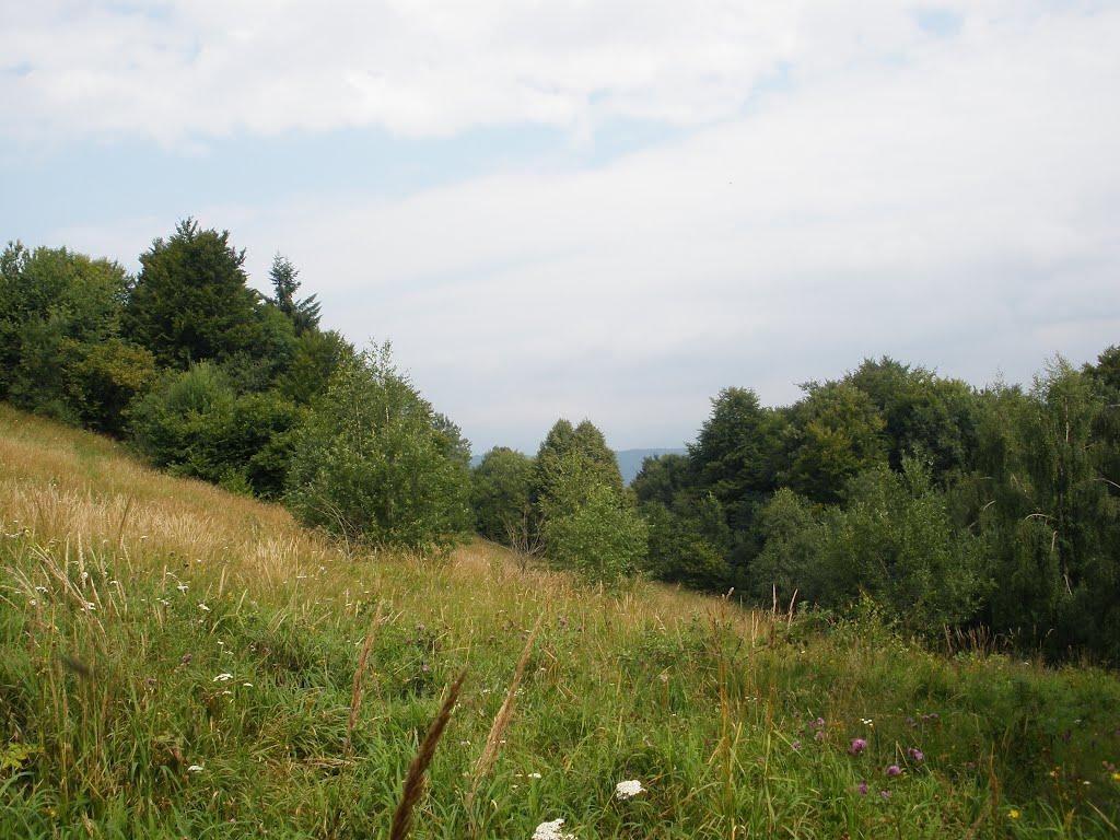 Кострина з panoramio.com - Кострина