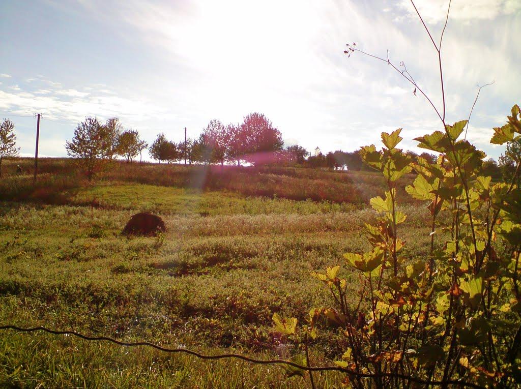 Дуляби з panoramio.com - Дулябы