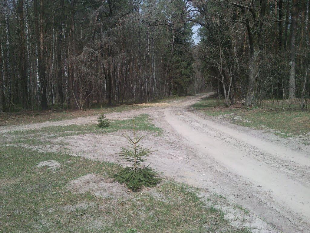 Котів з panoramio.com - Котів