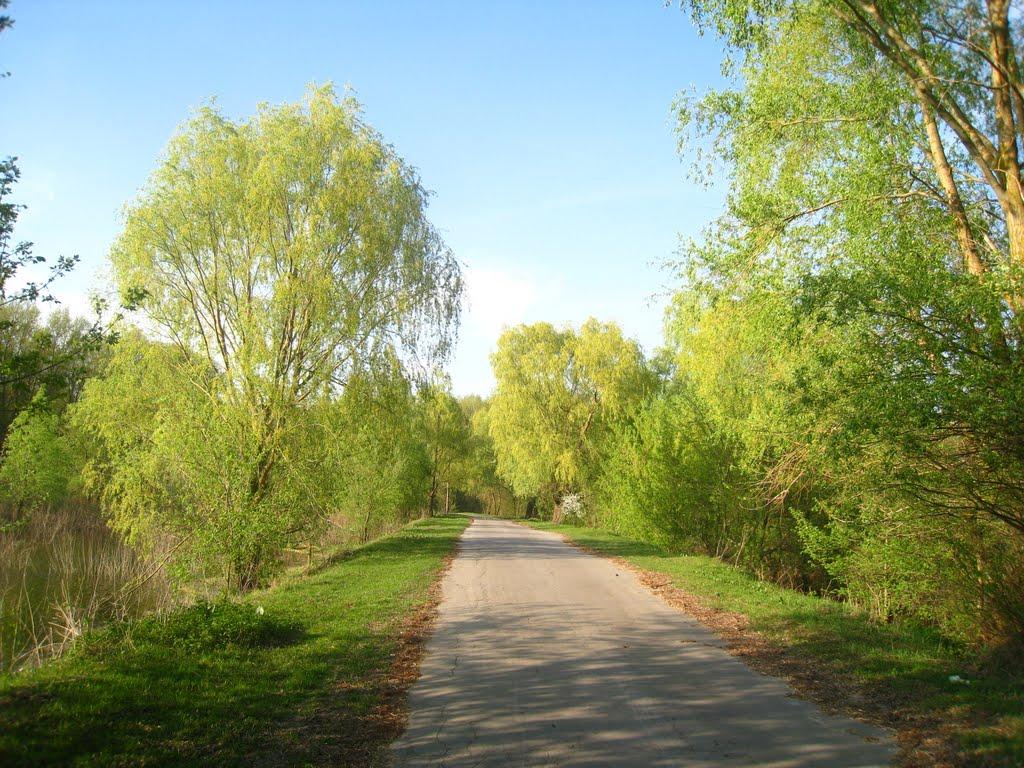 Салтикова Дівиця з panoramio.com - Салтикова Дівиця
