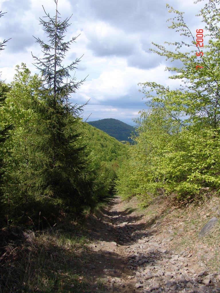 Тячів з panoramio.com - Тячев