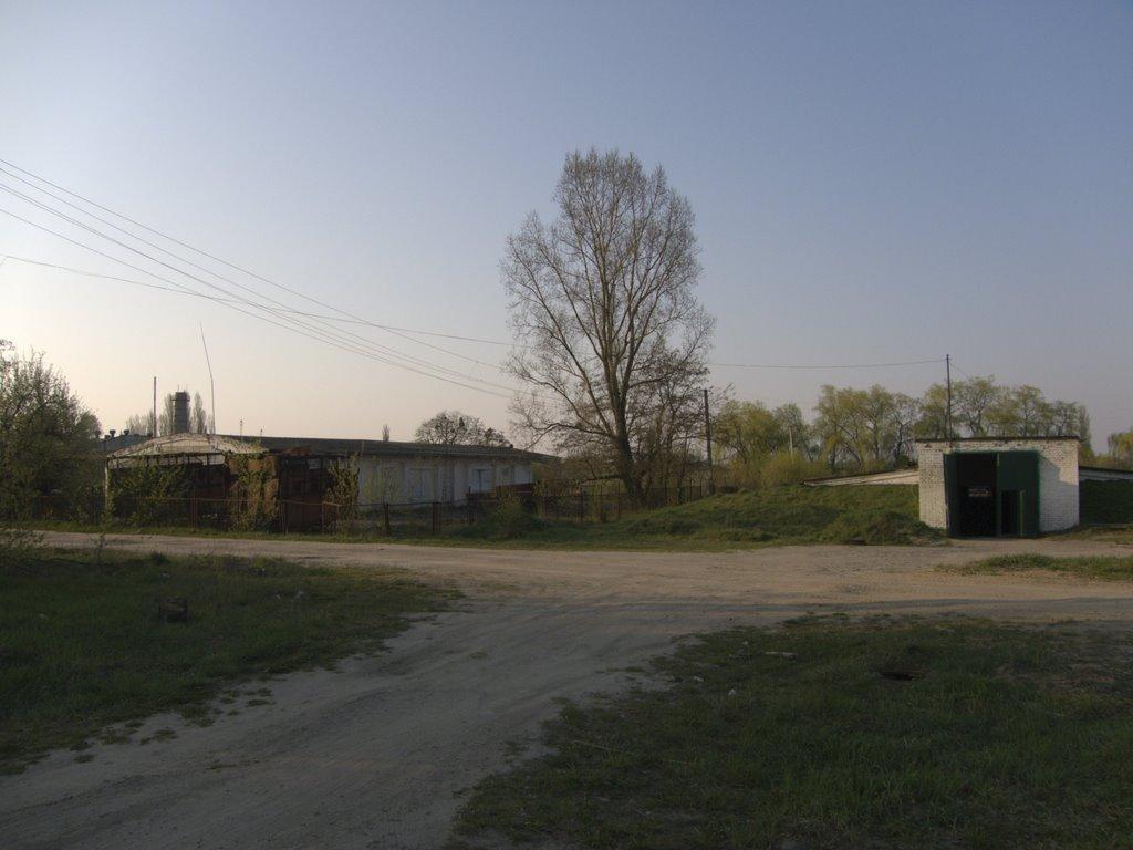 Немішаєве з panoramio.com - Немішаєве