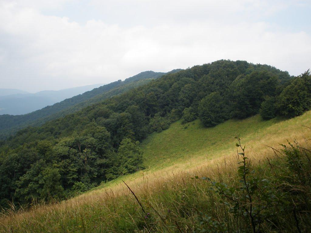 Кострина з panoramio.com - Кострина