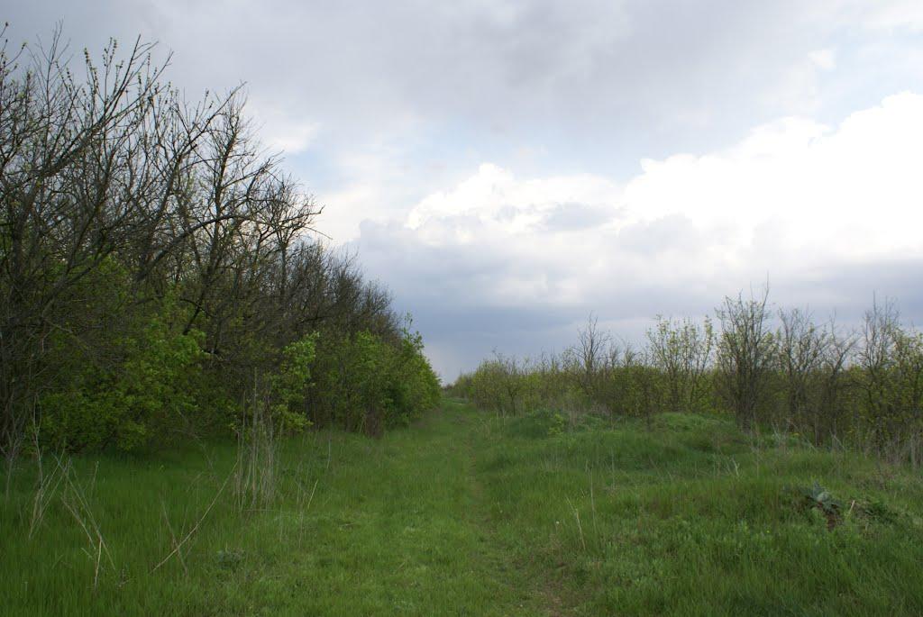 Сарата з panoramio.com - Сарата