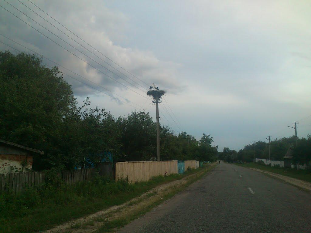 Межирічка з panoramio.com - Межирічка