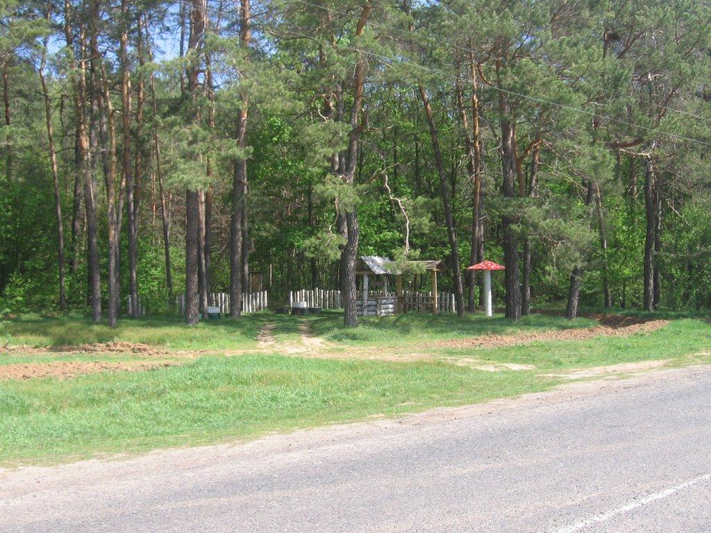 Городнє з panoramio.com - Городнє