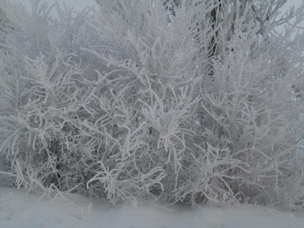 Дороганівка з panoramio.com - Дороганівка