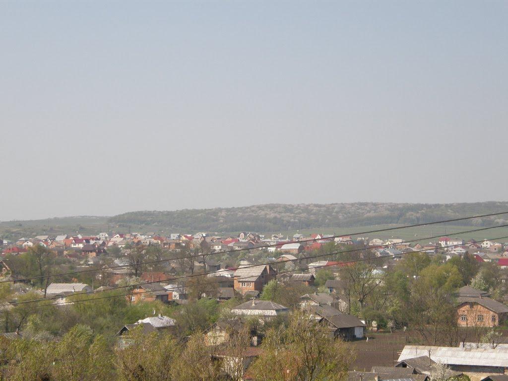 Бурштин з panoramio.com - Бурштын