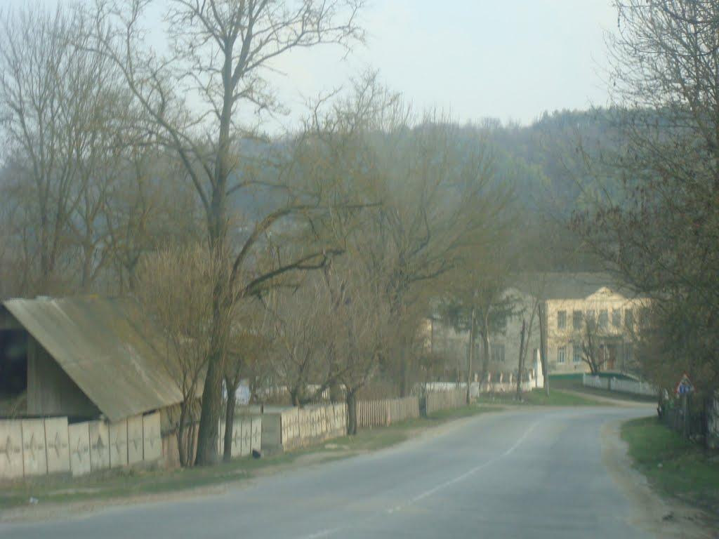 Миньківці з panoramio.com - Миньківці