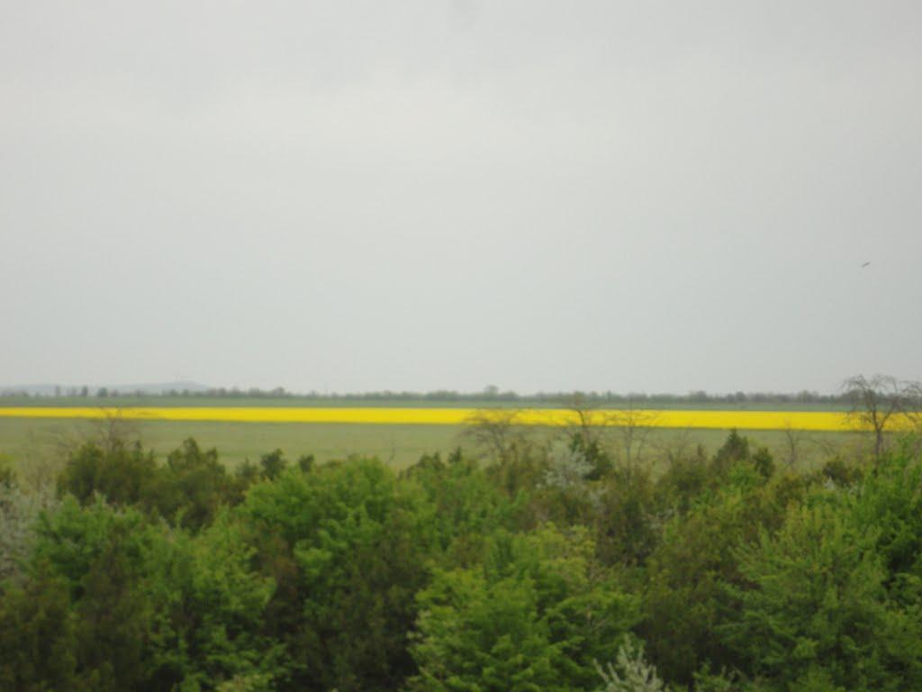 Леніне з panoramio.com - Леніне