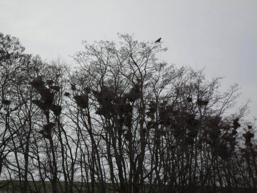 Красноармійське з panoramio.com - Красноармійське