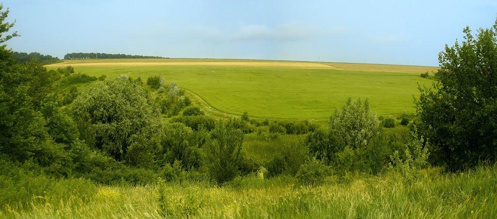 Дубки з panoramio.com - Дубки