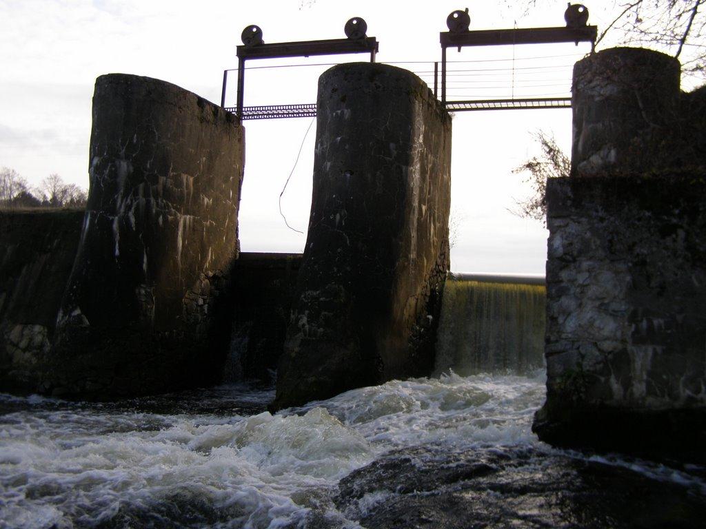 Барди з panoramio.com - Барди