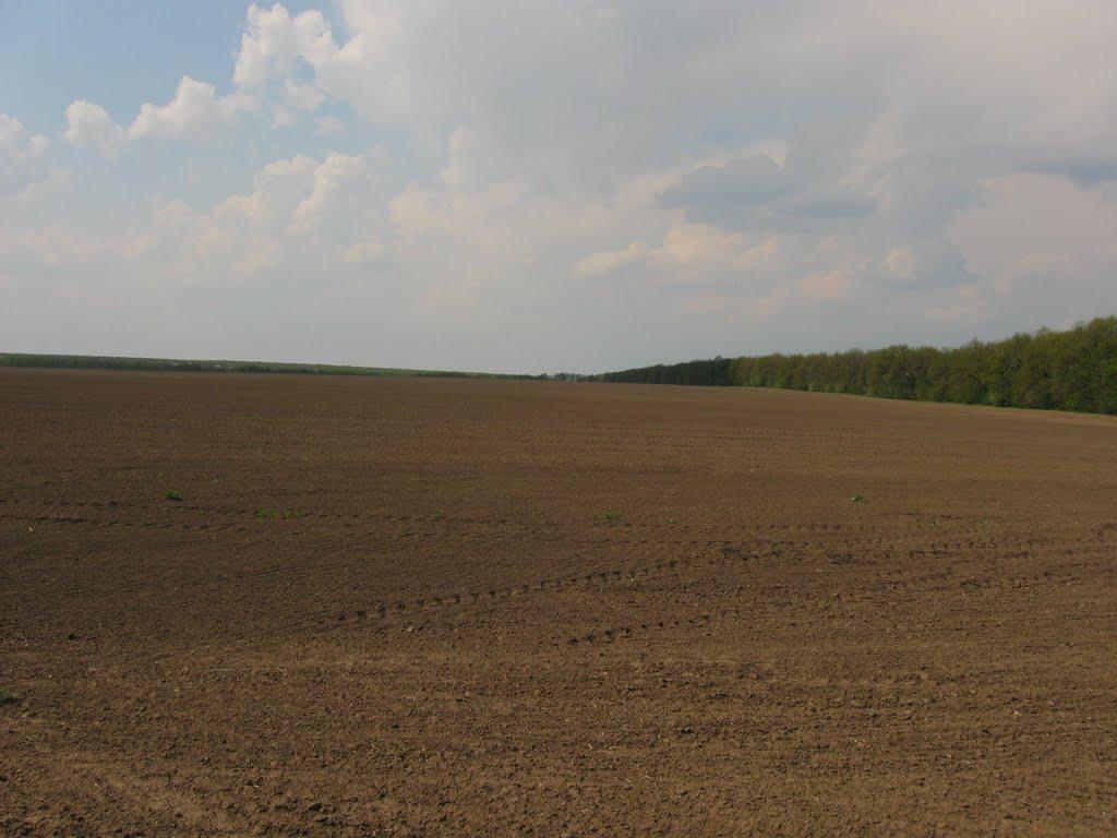 Гранів з panoramio.com - Гранів