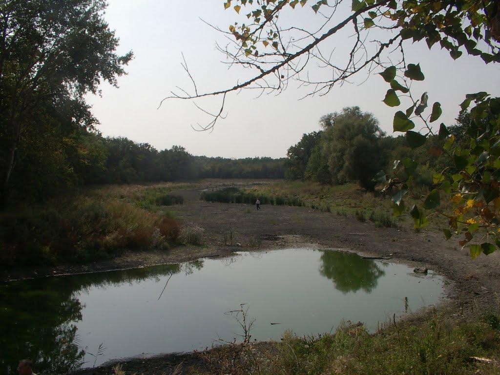 Кружилівка з panoramio.com - Kruzhylivka
