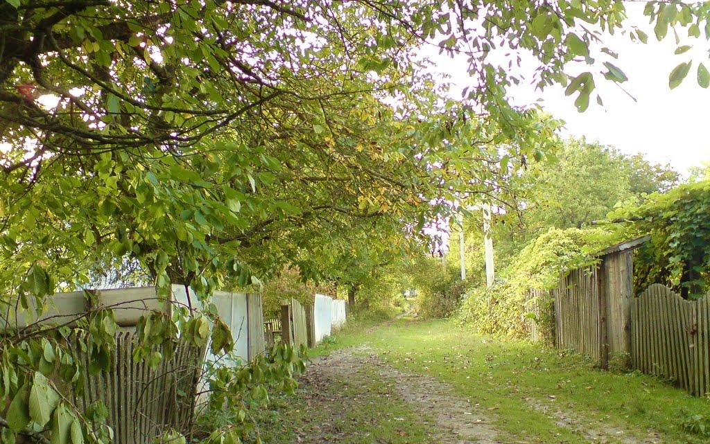Дуляби з panoramio.com - Дулябы