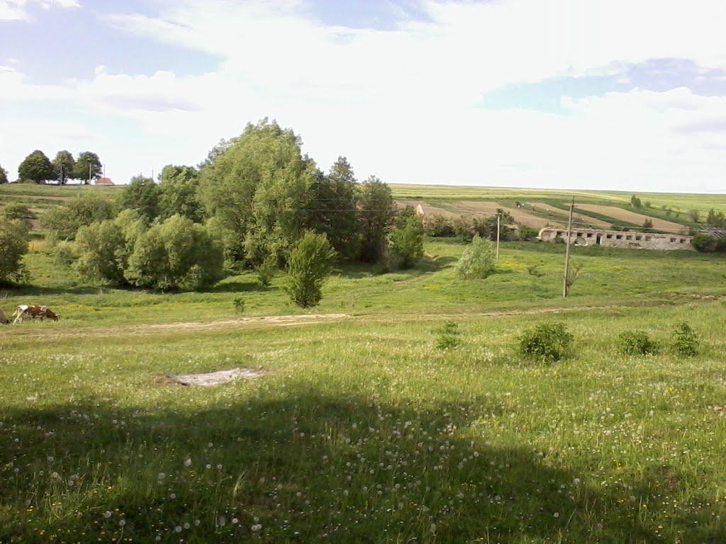 Лани з panoramio.com - Лани