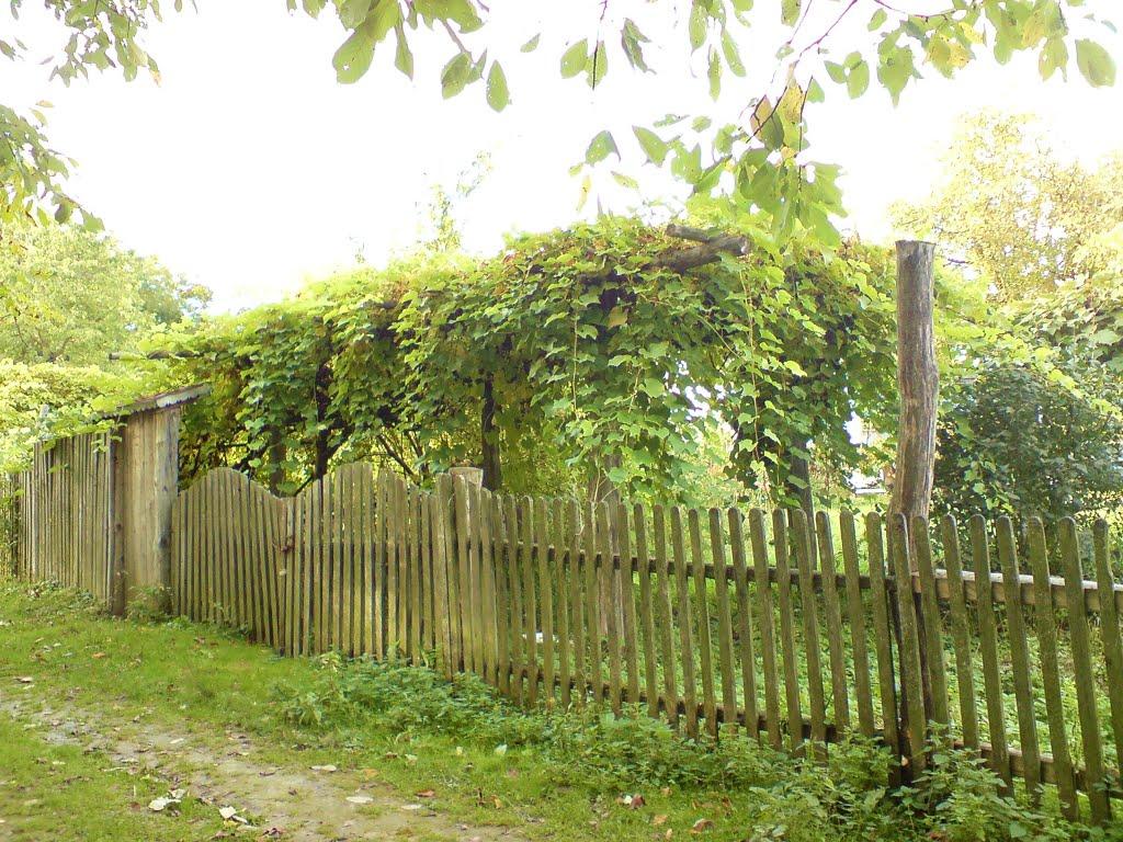 Дуляби з panoramio.com - Дулябы