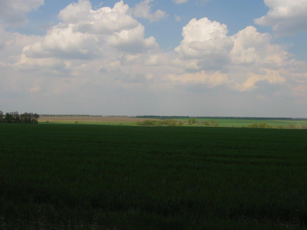Гранів з panoramio.com - Гранів