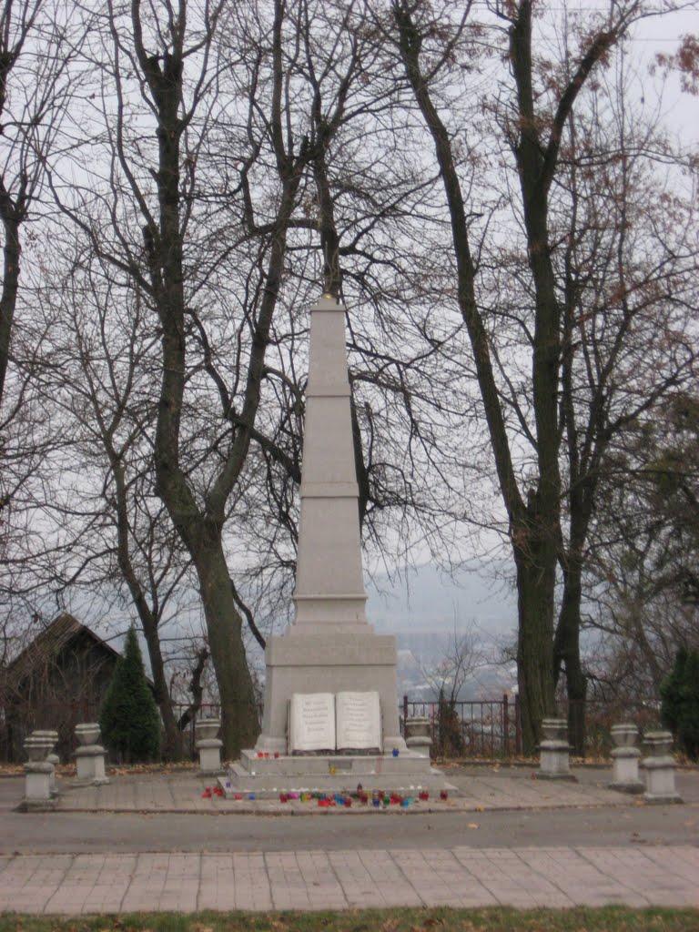 Винники з panoramio.com - Винники