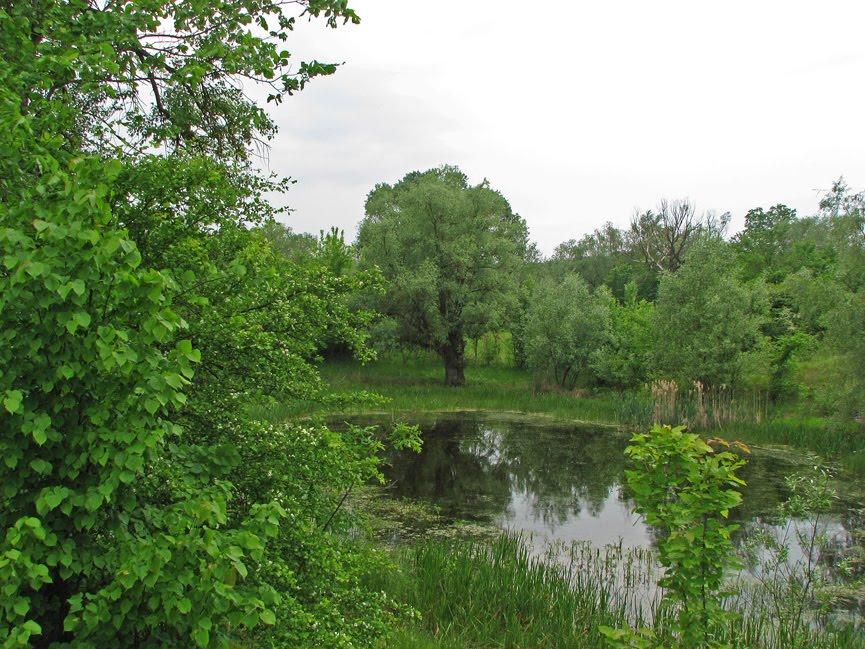 Шилівка з panoramio.com - Шиловка