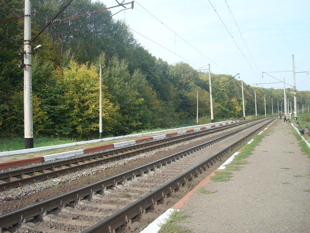 Березове з panoramio.com - Березове