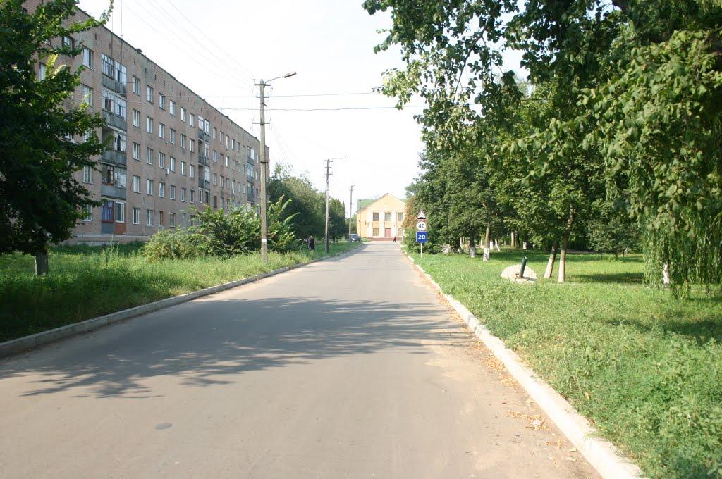 Дослідницьке з panoramio.com - Дослідницьке