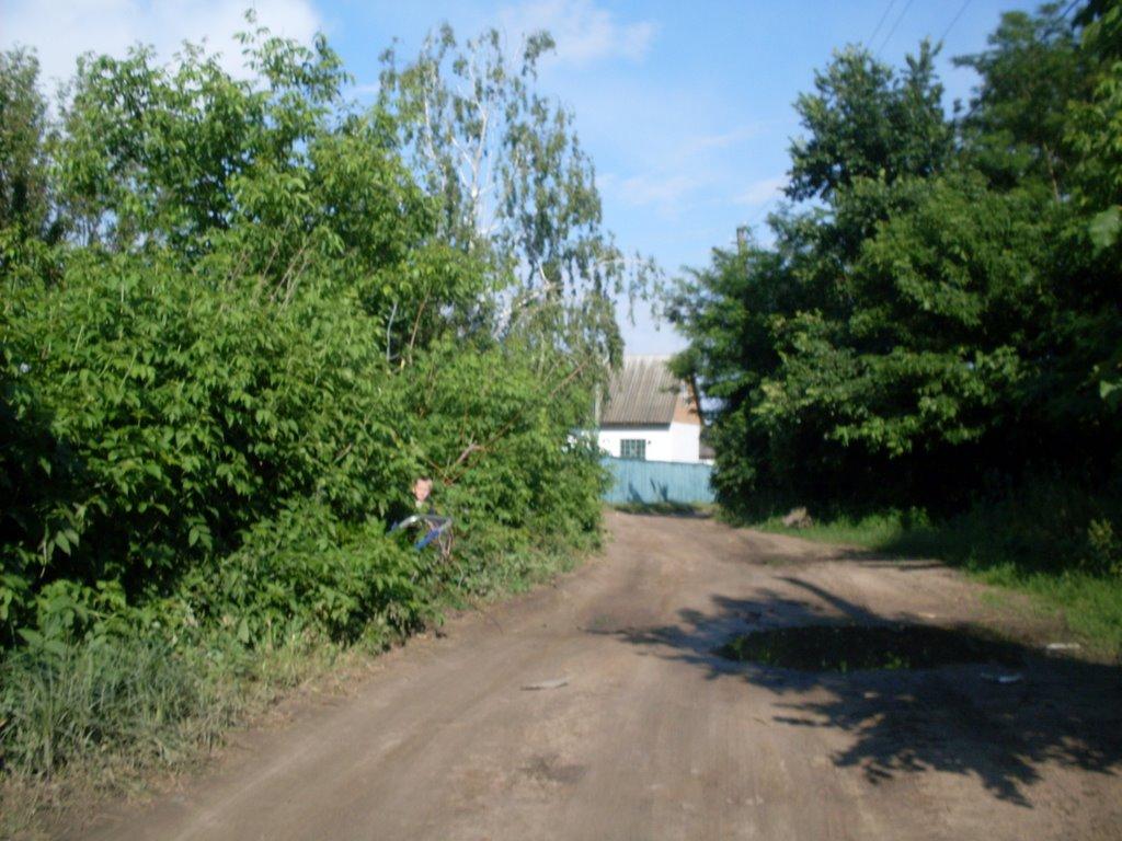 Маньківка з panoramio.com - Маньківка