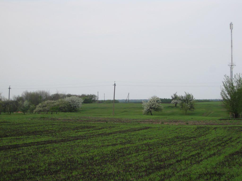 Шрамки з panoramio.com - Шрамки