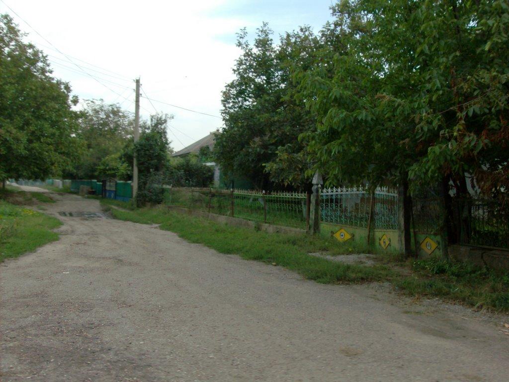 Серебрія з panoramio.com - Серебрія
