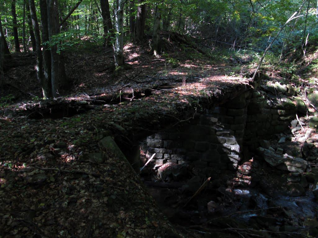 Полянська Гута з panoramio.com - Полянська Гута