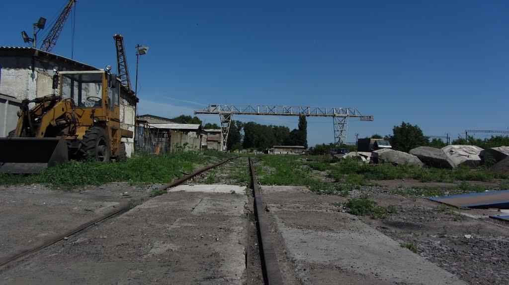 Кавуни з panoramio.com - Кавуни