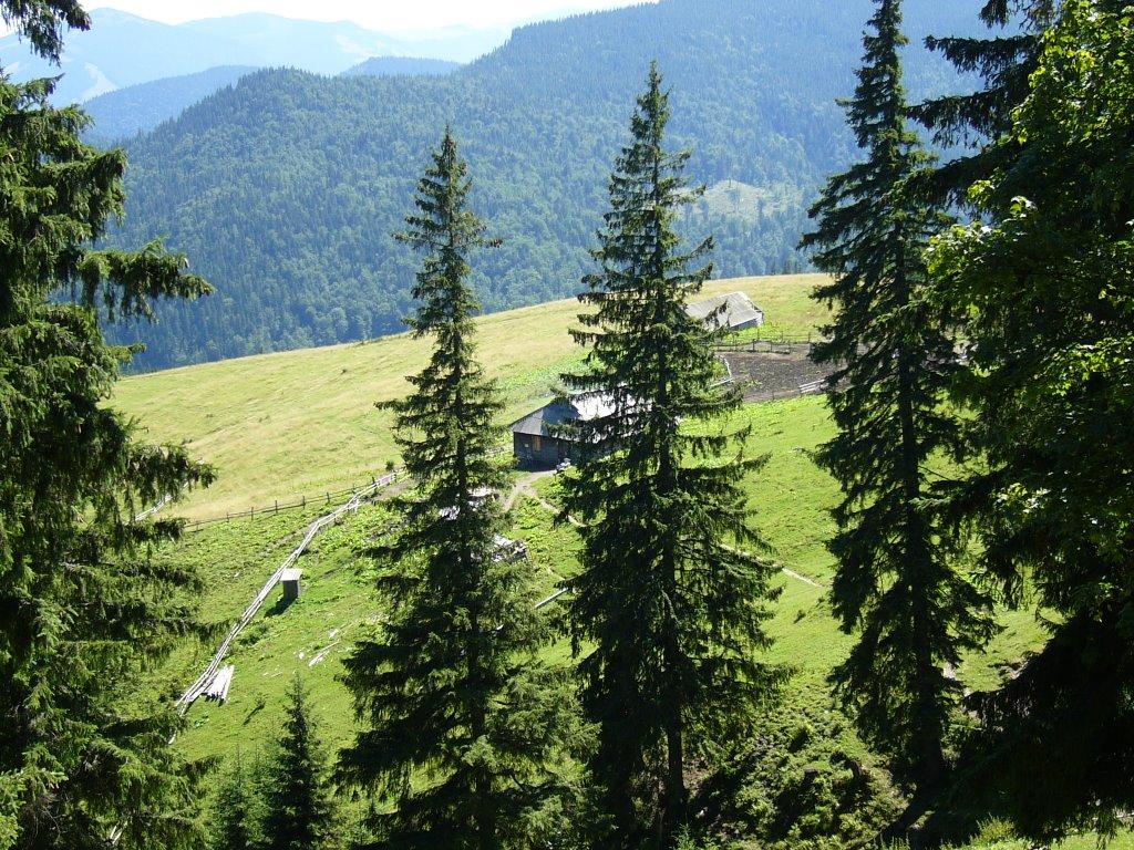 Берестечко з panoramio.com (ч.2) - Berestechko