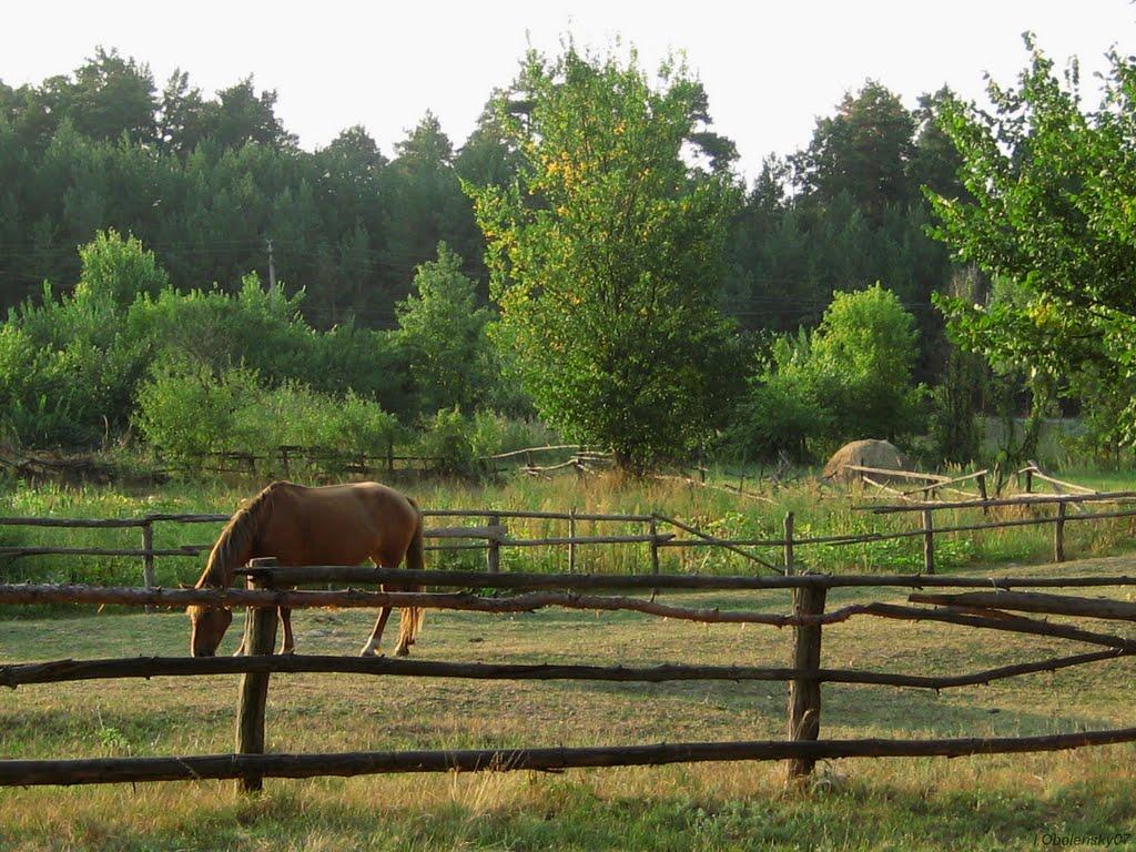 Миргороди з panoramio.com - Миргороди