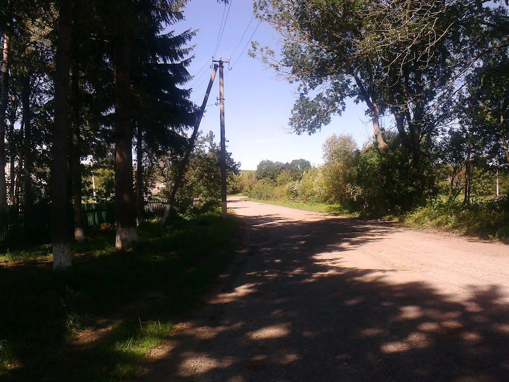 Вариводки з panoramio.com - Вариводки