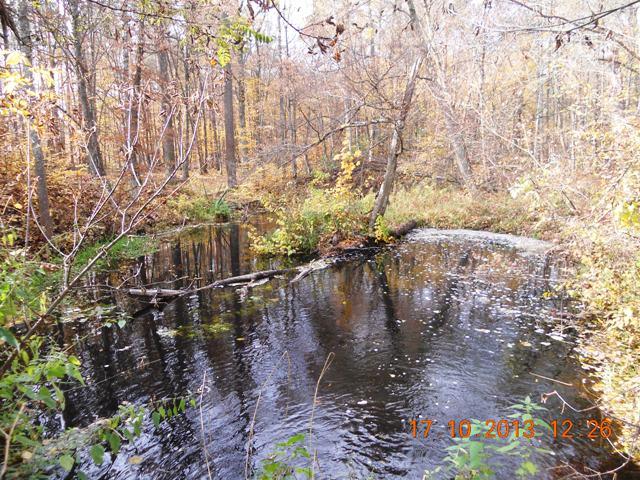 Бондарня з panoramio.com - Бондарня