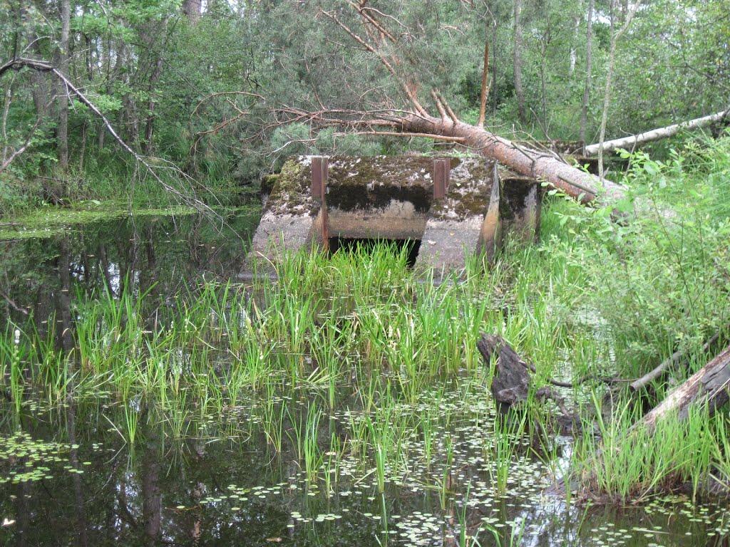 Пугач з panoramio.com - Пугач